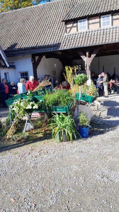Viel Spaß auf dem Birkenhof