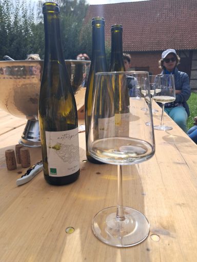 Wein aus dem Vorharz um Herrhausen